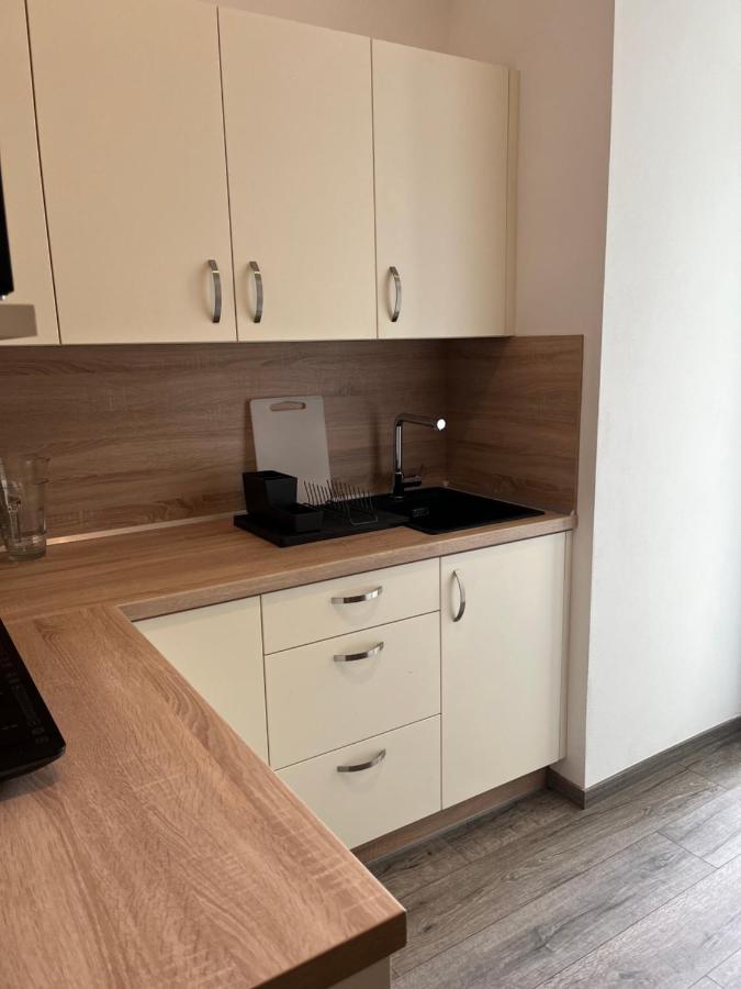 Zdikovec Moderni Apartman Uprostred Sumavske Prirody מראה חיצוני תמונה